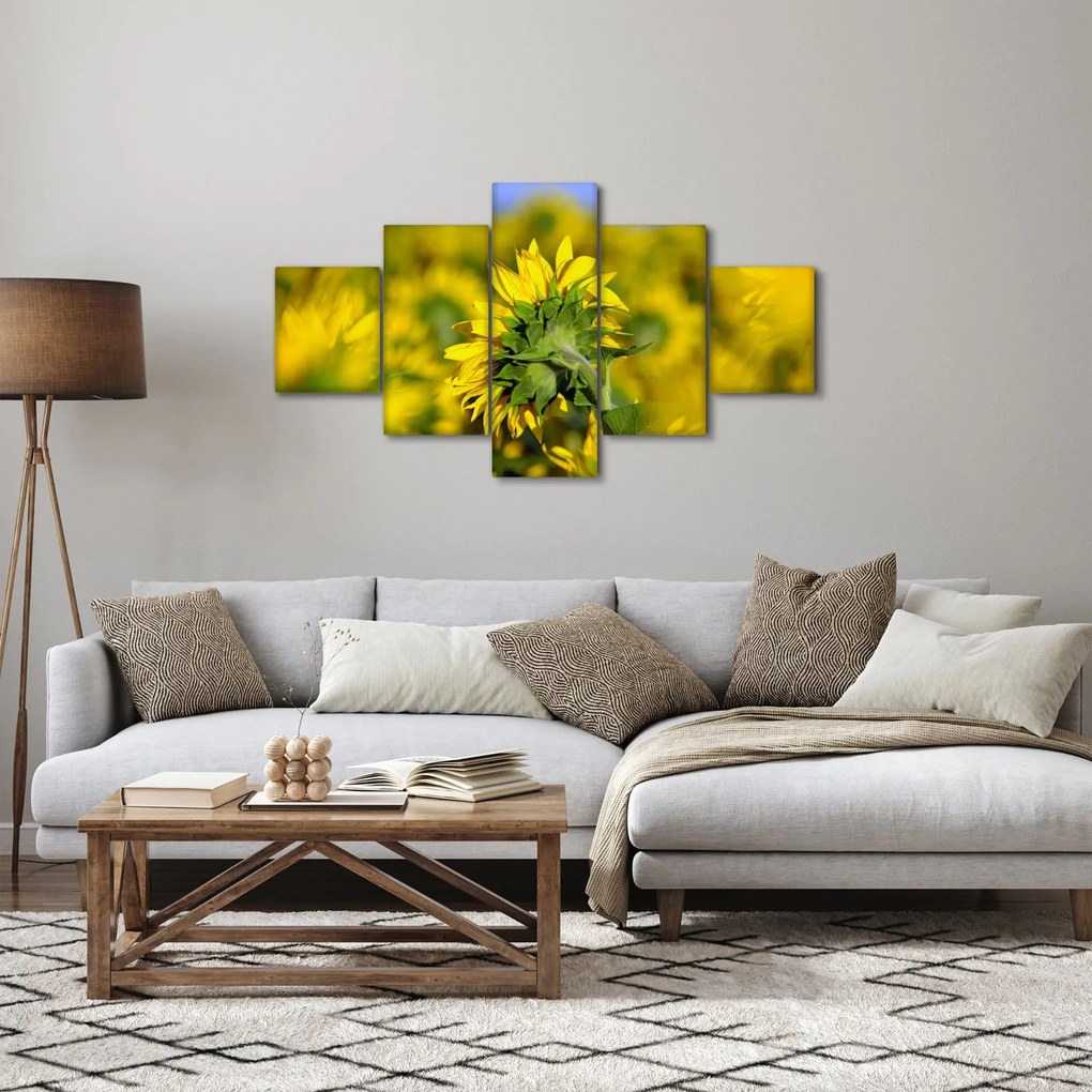 Obraz słonecznika (125x70 cm)