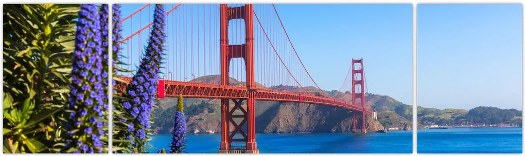 Obraz - Most Golden Gate, San Francisco (170x50 cm)