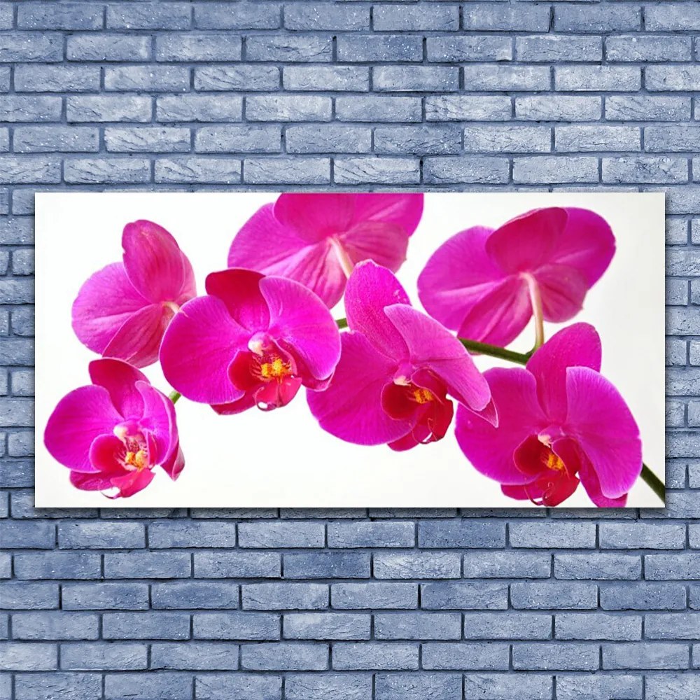 Obraz na płótnie Nowoczesna Grafika Kwiatowa