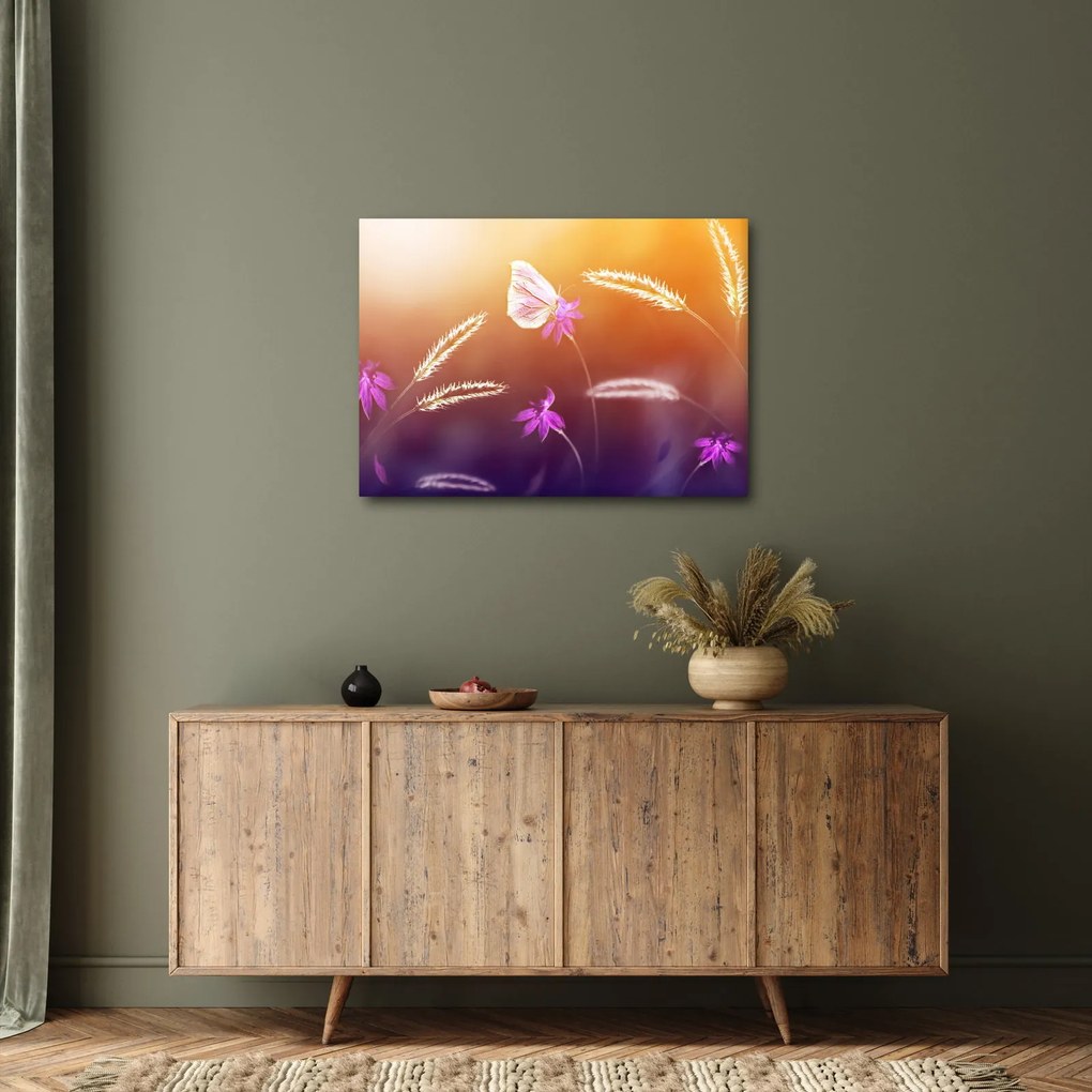 Obraz - Różowy motyl (70x50 cm)