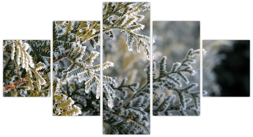 Obraz - Detal gałęzi (125x70 cm)