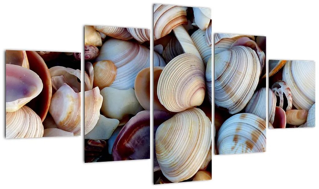 Obraz muszelek (125x70 cm)