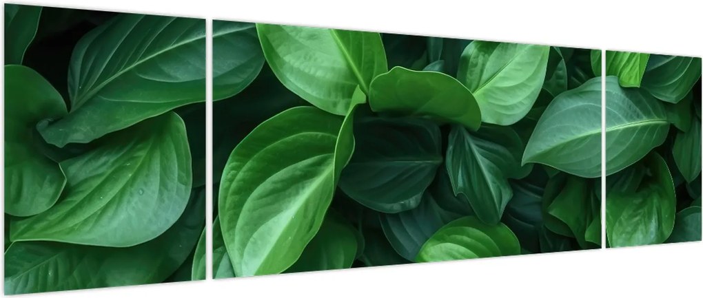 Obraz - Zielone liście (170x50 cm)