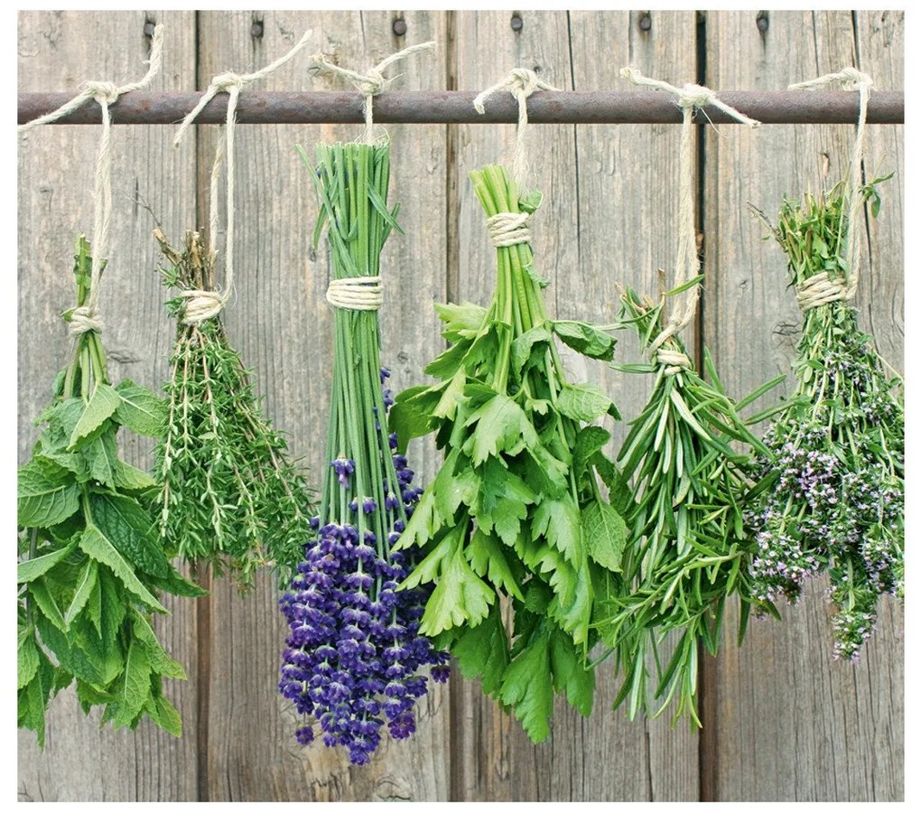 Szklana płyta ochronna LAWENDA na kuchenkę – duża, ZELLER