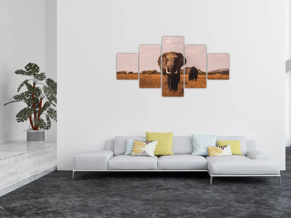 Obraz - Przybycie słonia (125x70 cm)
