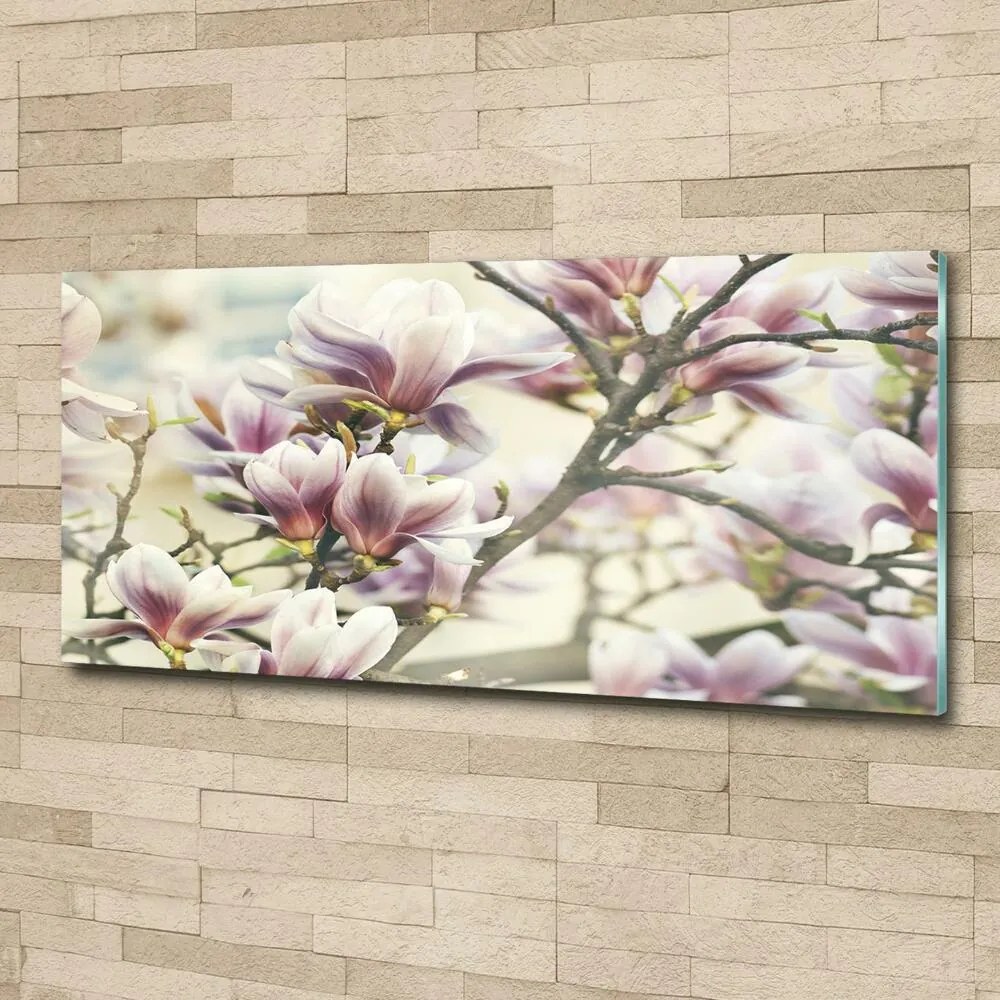 Foto obraz szkło hartowane Magnolia