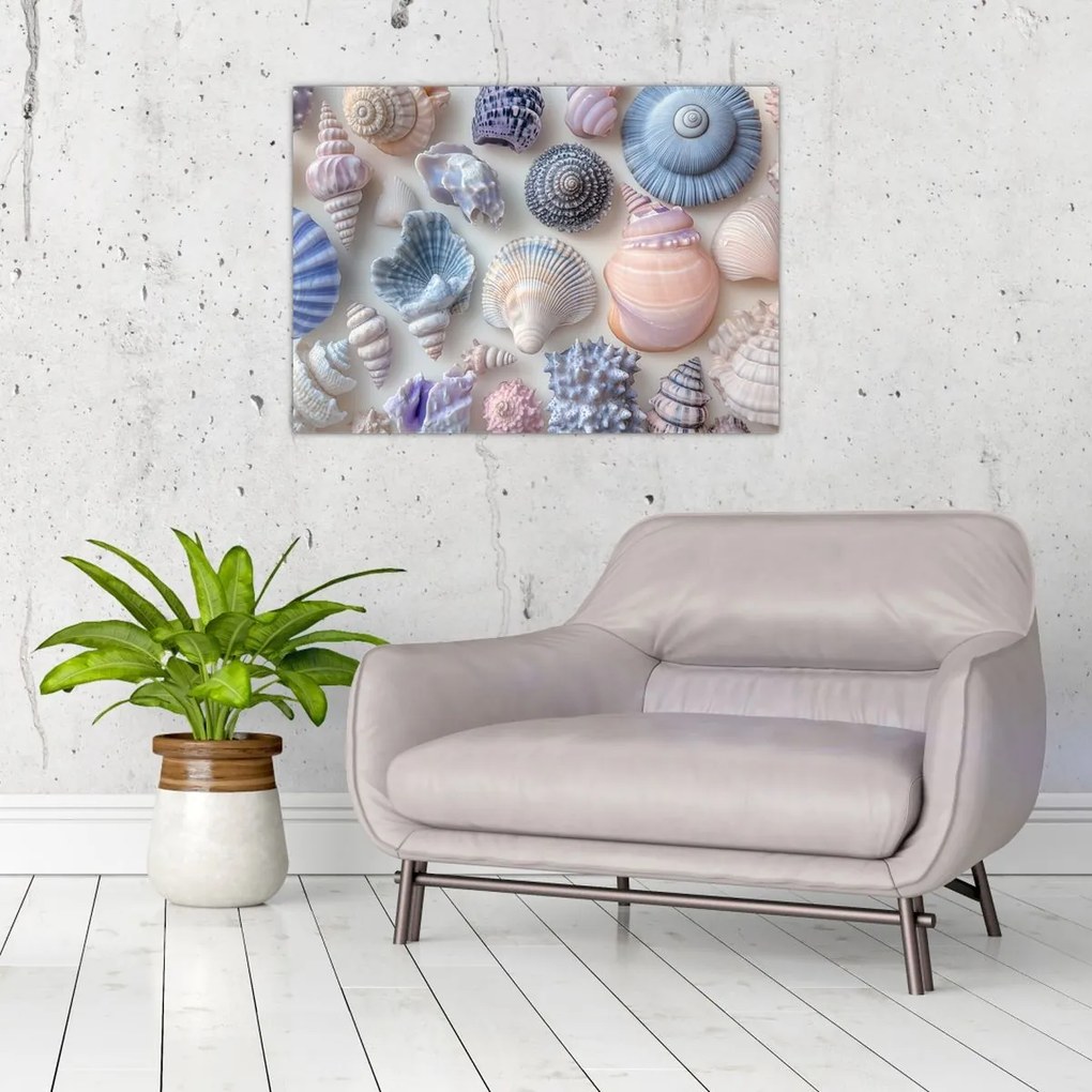 Obraz na szkle - Kolekcja muszli (70x50 cm)