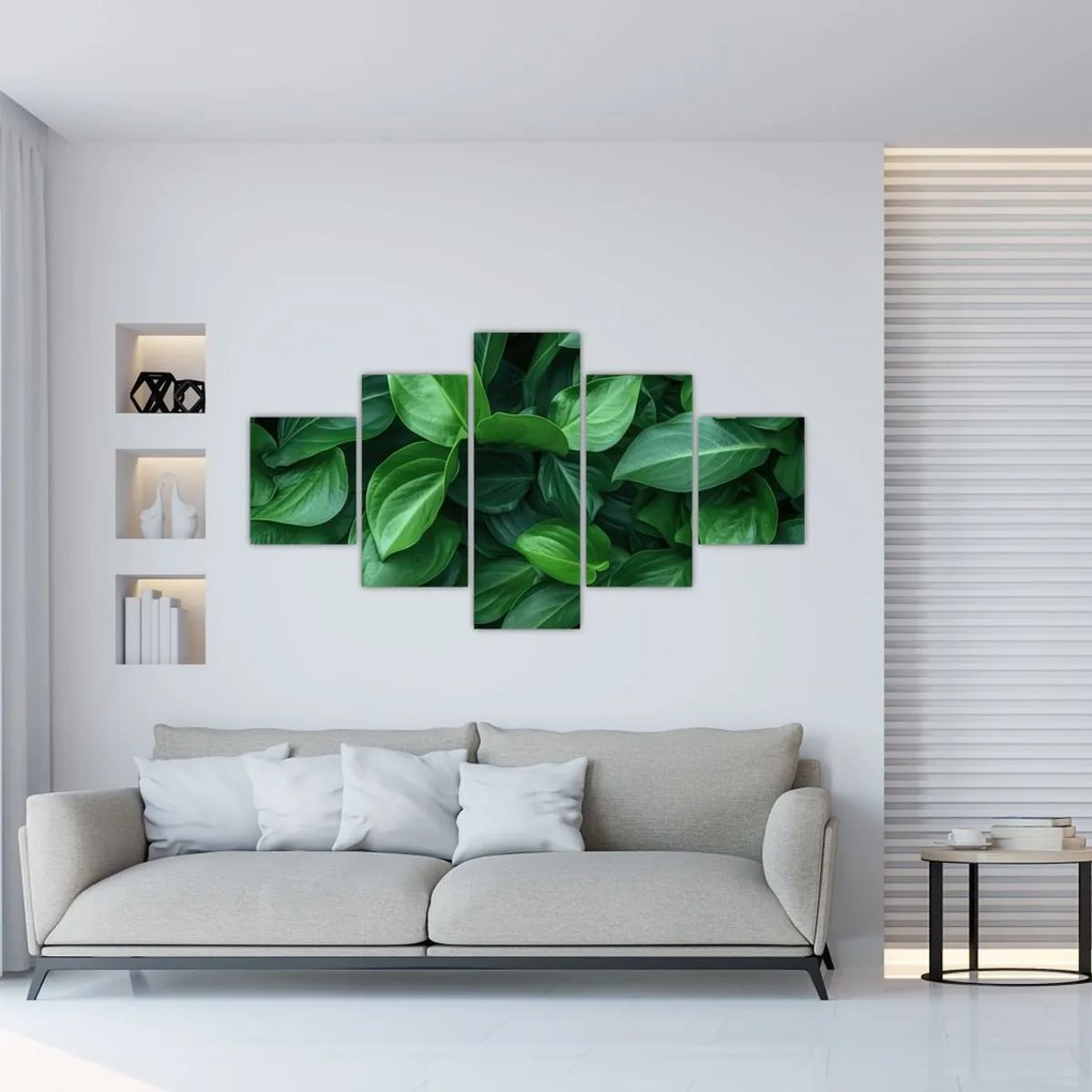 Obraz - Zielone liście (125x70 cm)