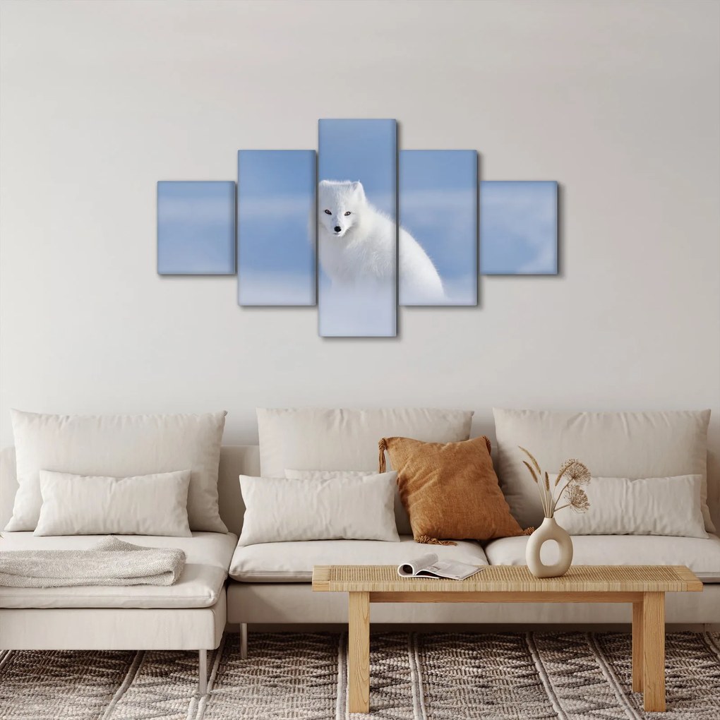 Obraz - Lis polarny (125x70 cm)