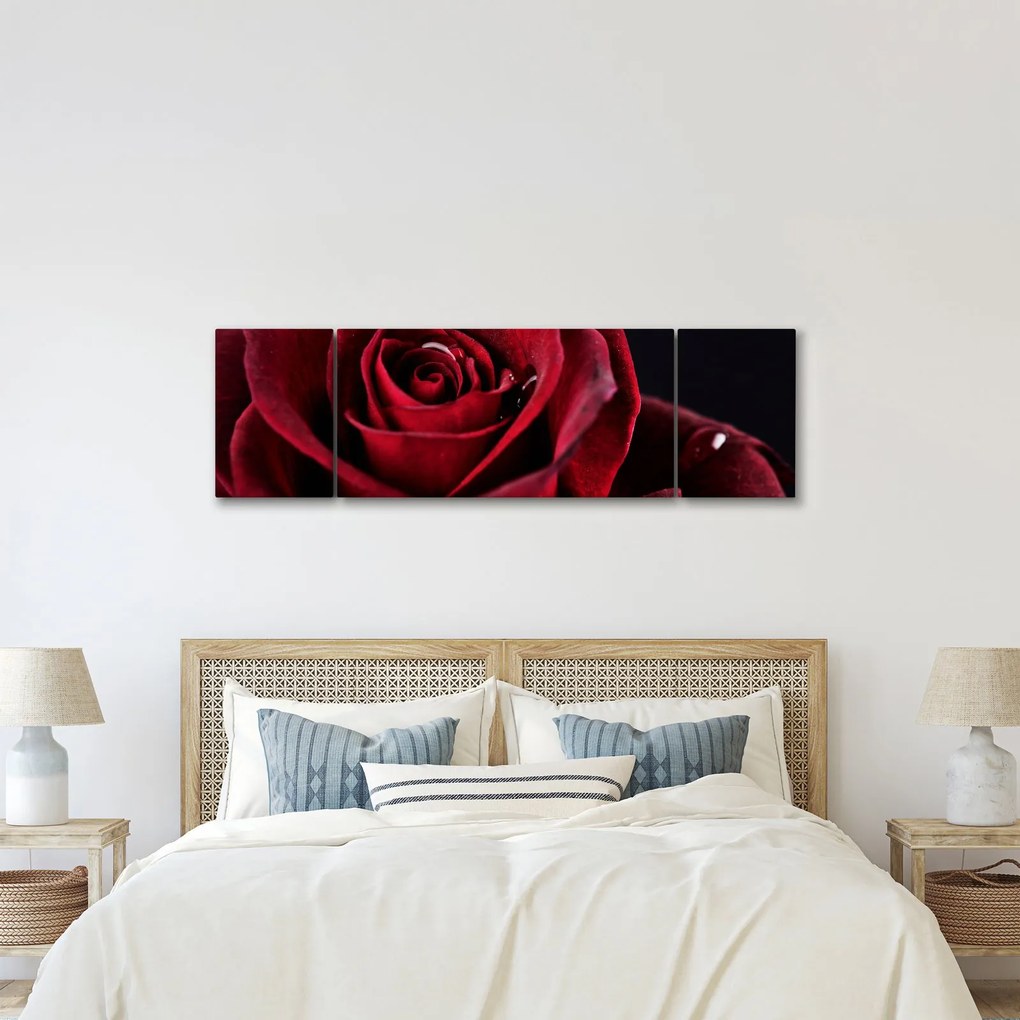 Obraz - Czerwona róża (170x50 cm)