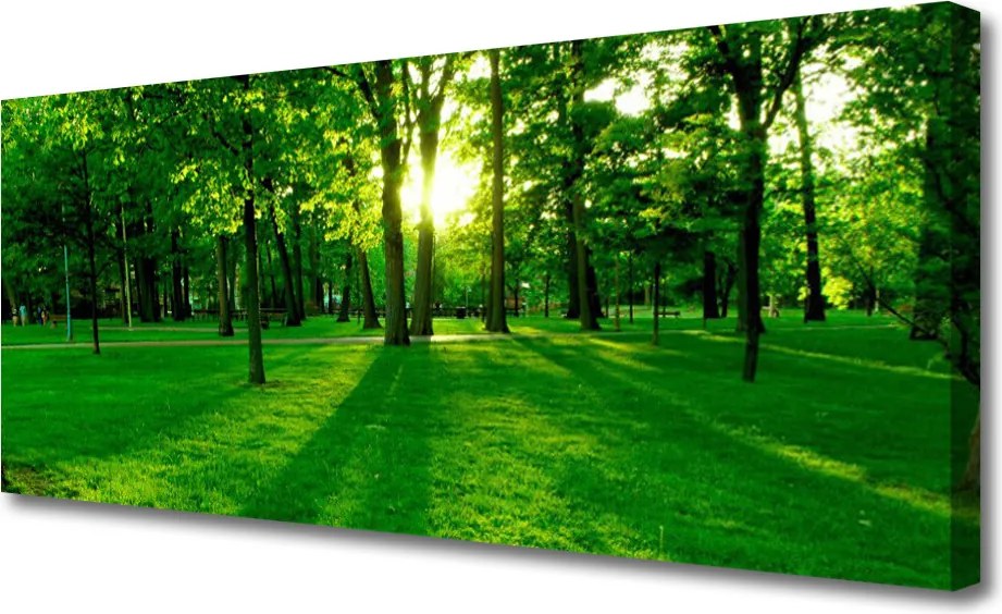 Obraz na płótnie Parkowe Alejki w Słońcu