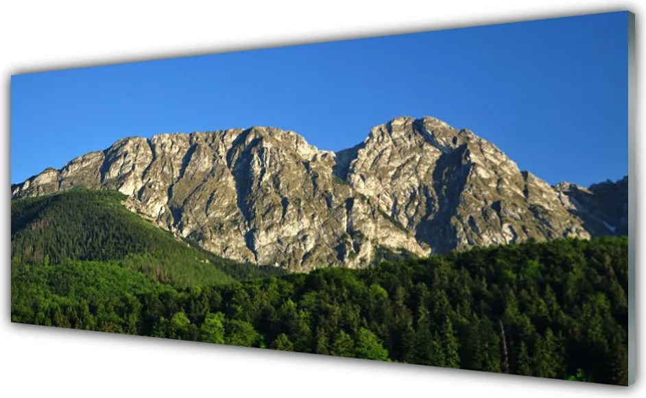 Szkło Ozdobne do Kuchni Górska Przystań W Lesie