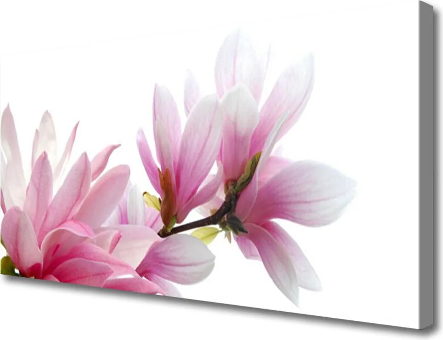 Obraz na płótnie Subtelny Kwiat Magnolii