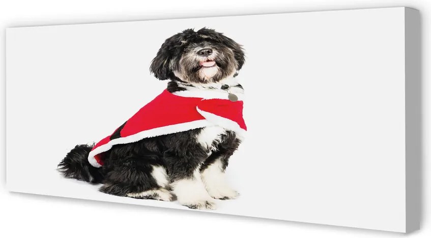 Obraz na płótnie Wierny Pies