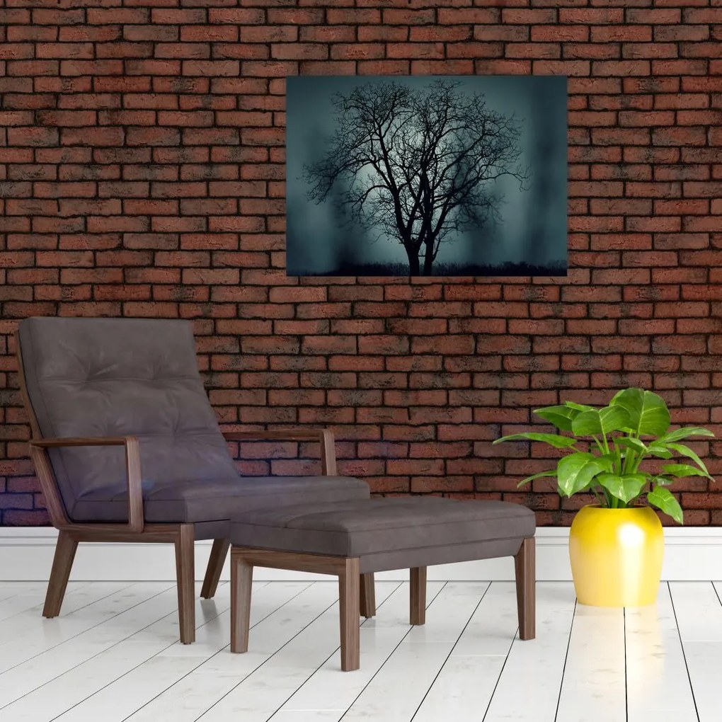 Obraz na szkle - drzew podczas zaćmienia (70x50 cm)