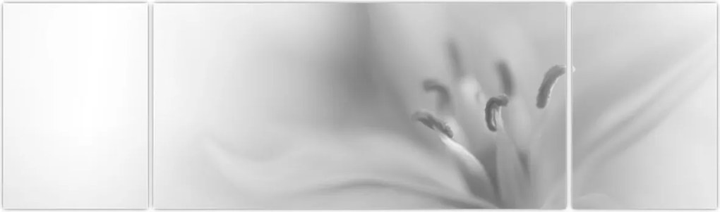 Obraz - Delikatna lilia (170x50 cm)