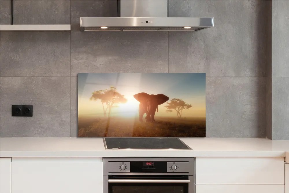 Panel szklany do Kuchni Słoń o Wschodzie Słońca na Sawannie