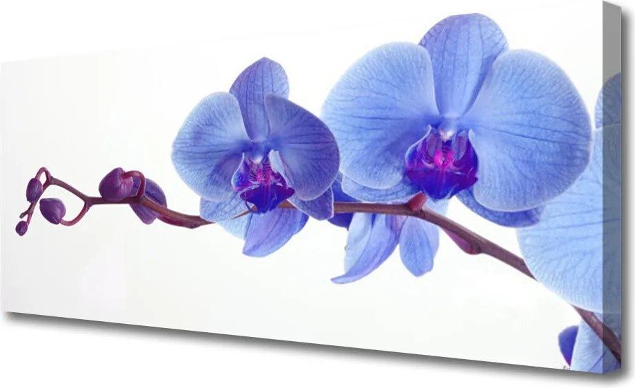 Obraz na płótnie Letnia Kompozycja Kwiatowa