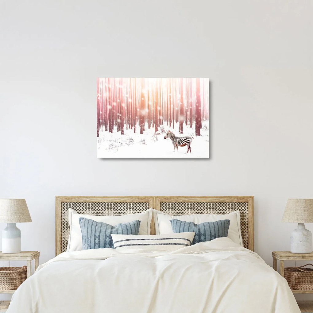 Obraz na szkle - Zebra w śnieżnym lesie (70x50 cm)