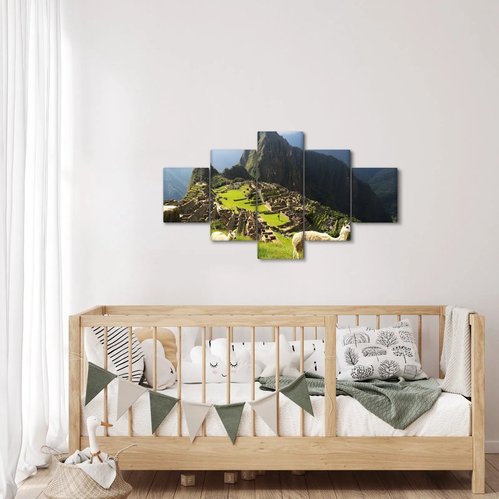 Obraz - Lamy na Machu Picchu (125x70 cm)