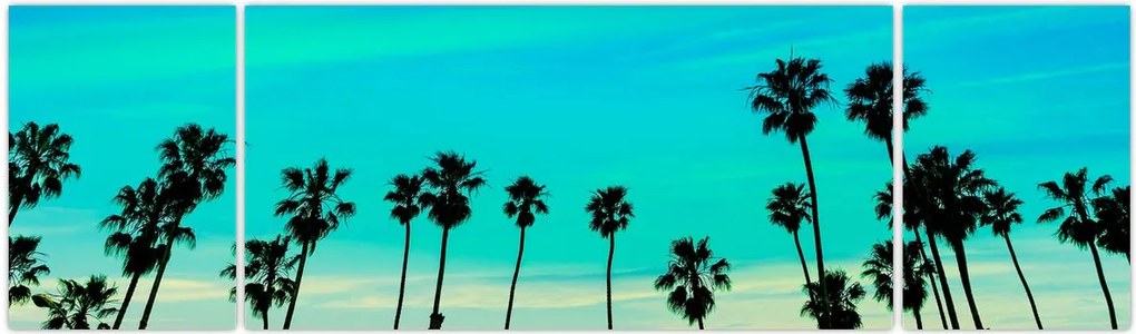 Obraz - Kalifornia (170x50 cm)