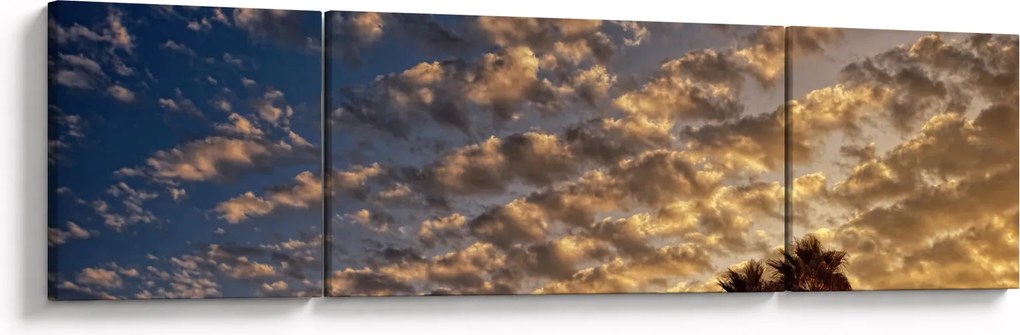 Obraz - palmy pośród chmur (170x50 cm)