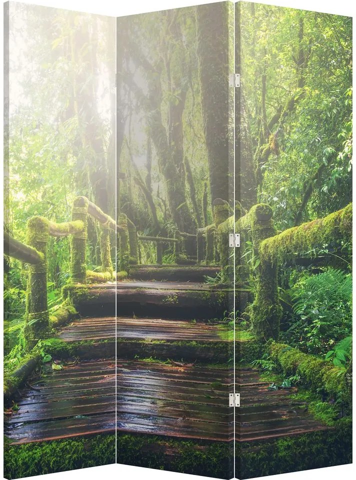 Parawan - Drewniane schody w lesie (126x170 cm)