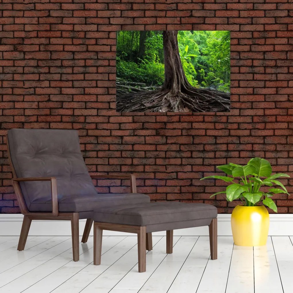 Obraz na szkle - Stare drzewo z korzeniami (70x50 cm)