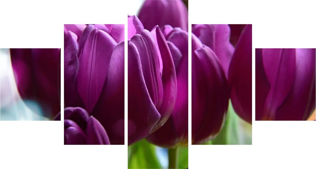 Obraz tulipanów (125x70 cm)