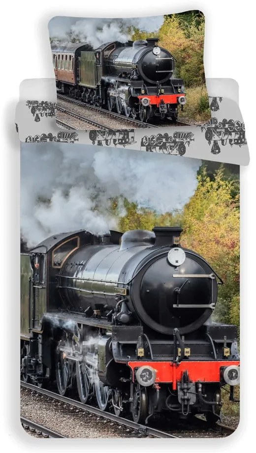 Bawełniana pościel dziecięca jednoosobowa 140x200 cm Train – Jerry Fabrics