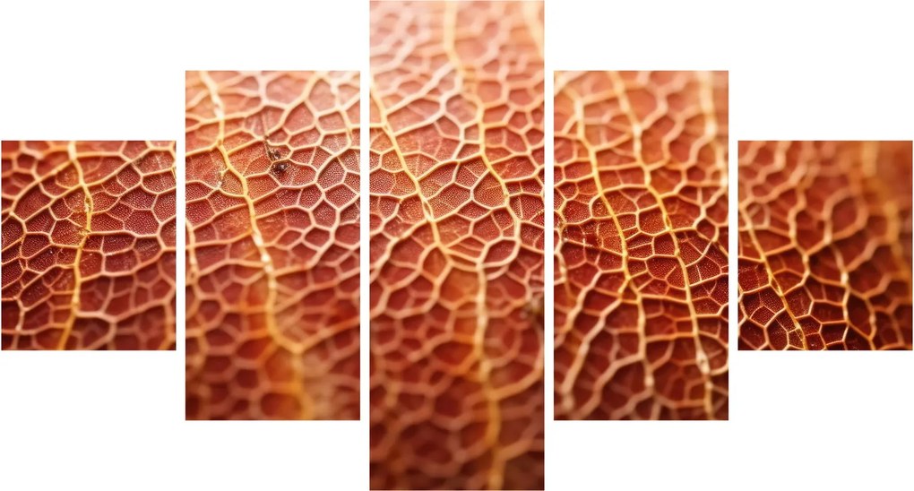 Obraz - Szczegóły tekstury (125x70 cm)