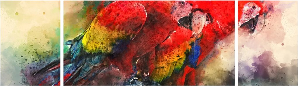 Obraz czerwonych papug Ara (170x50 cm)