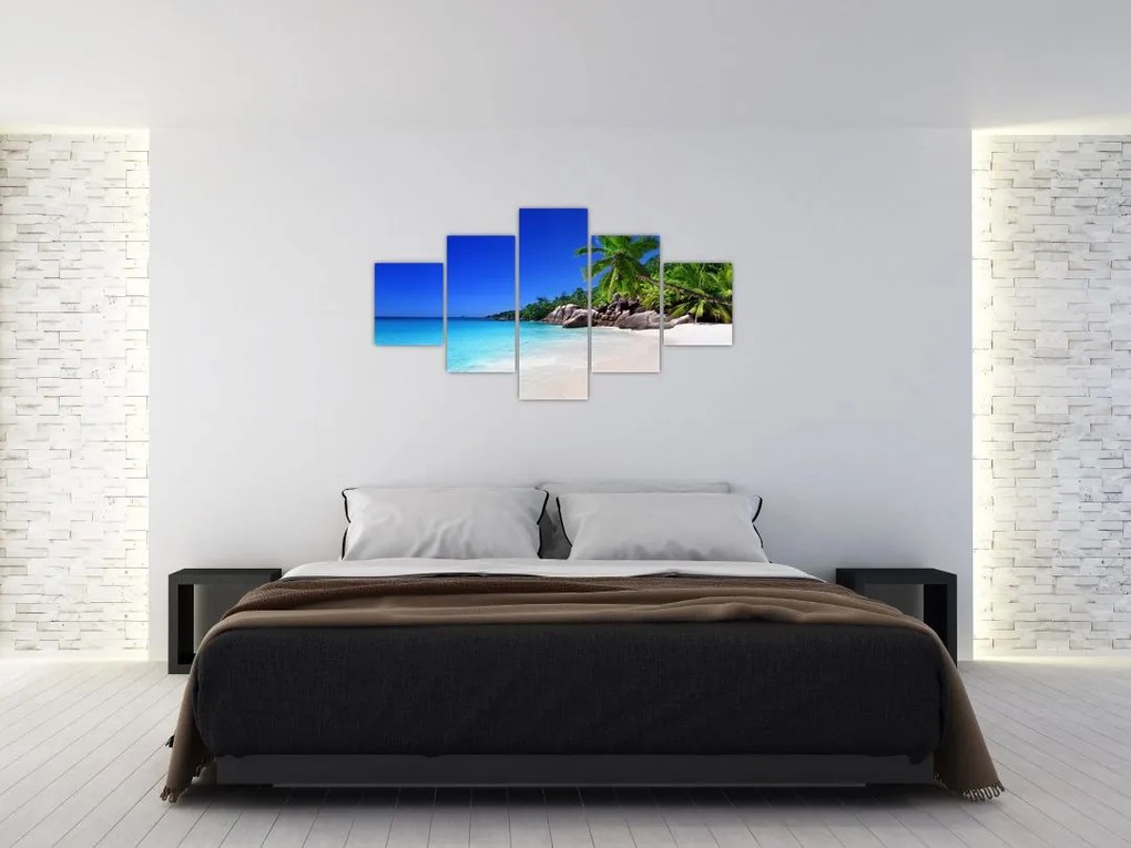 Obraz plaży na wyspie Praslin (125x70 cm)