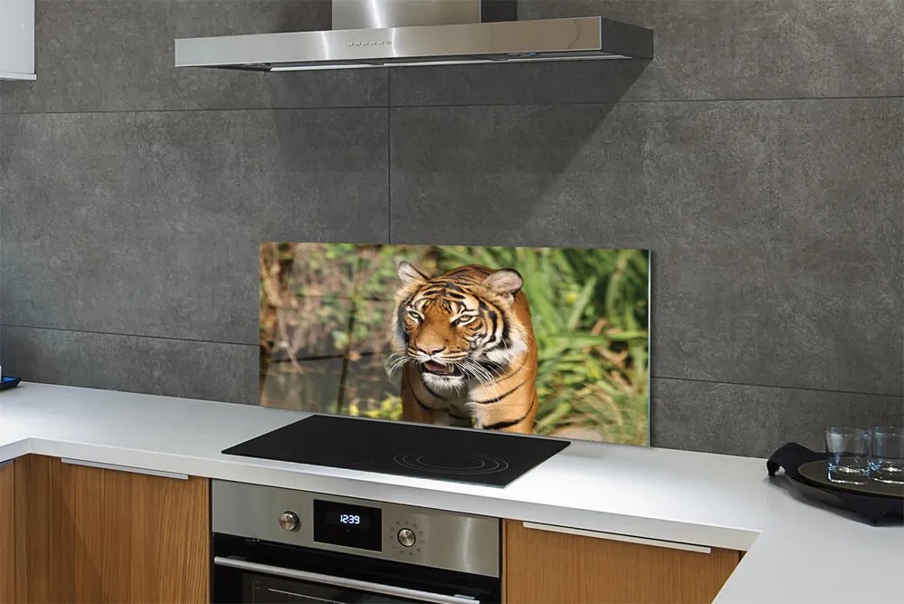Panel szklany do Kuchni Tygrys na Leśnej Ścieżce