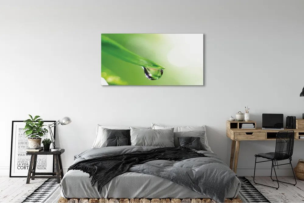 Obraz drukowany na płótnie Słoneczna Kropla na Liściu
