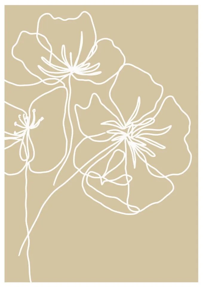 Plakat 29x41 cm White Poppy – Veronika Boulová