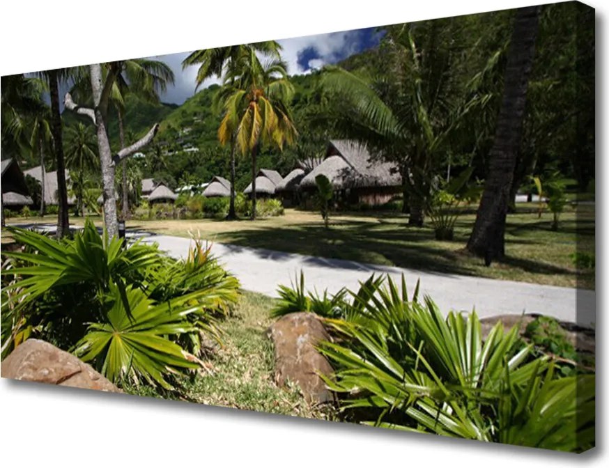 Duży obraz na płótnie Tropikalna Palma w Słońcu