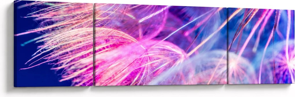 Obraz - Makro (170x50 cm)