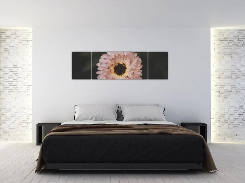 Obraz pomarańczowego kwiatu (170x50 cm)
