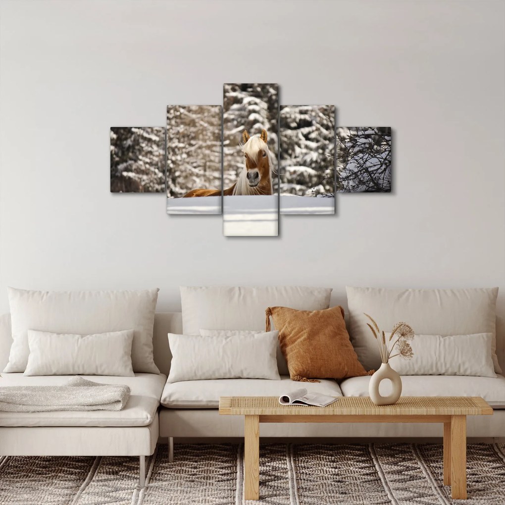 Obraz - Koń w zimowym krajobrazie (125x70 cm)