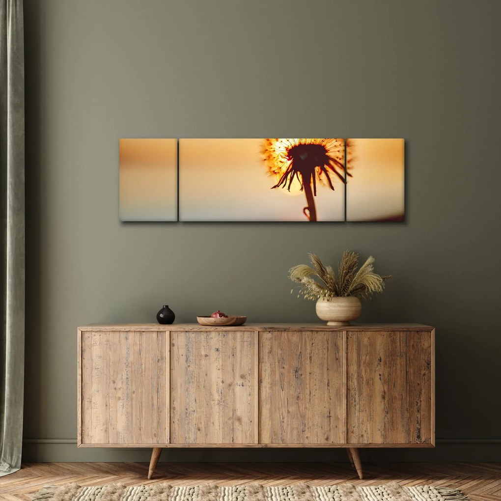 Obraz dmuchawca o zachodzie słońca (170x50 cm)