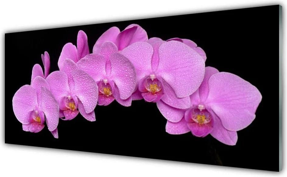 Panel Kuchenny Rozkwitająca Łąka Ścienna