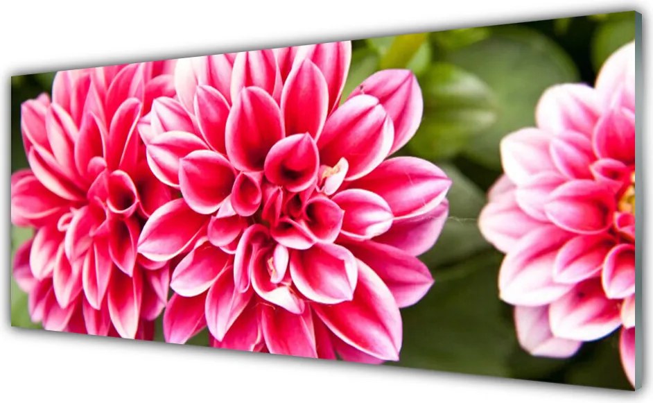 Panel Szklany Wyrafinowana Flora Ścienna