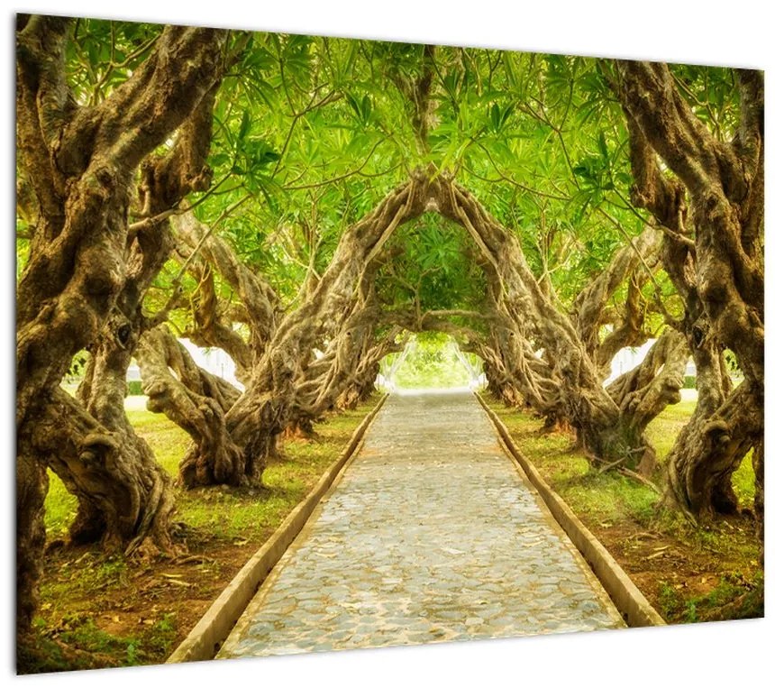 Obraz na szkle - Żywy tunel plumerii (70x50 cm)