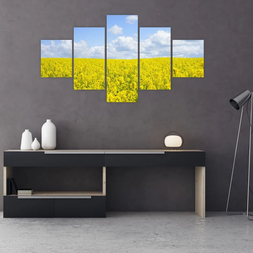 Obraz żółtego pola (125x70 cm)