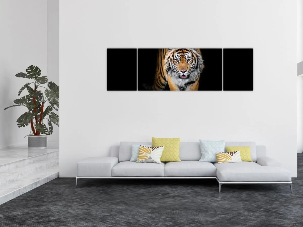 Obraz - Tygrys (170x50 cm)