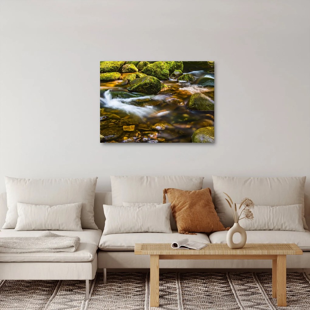 Obraz strumienia (70x50 cm)