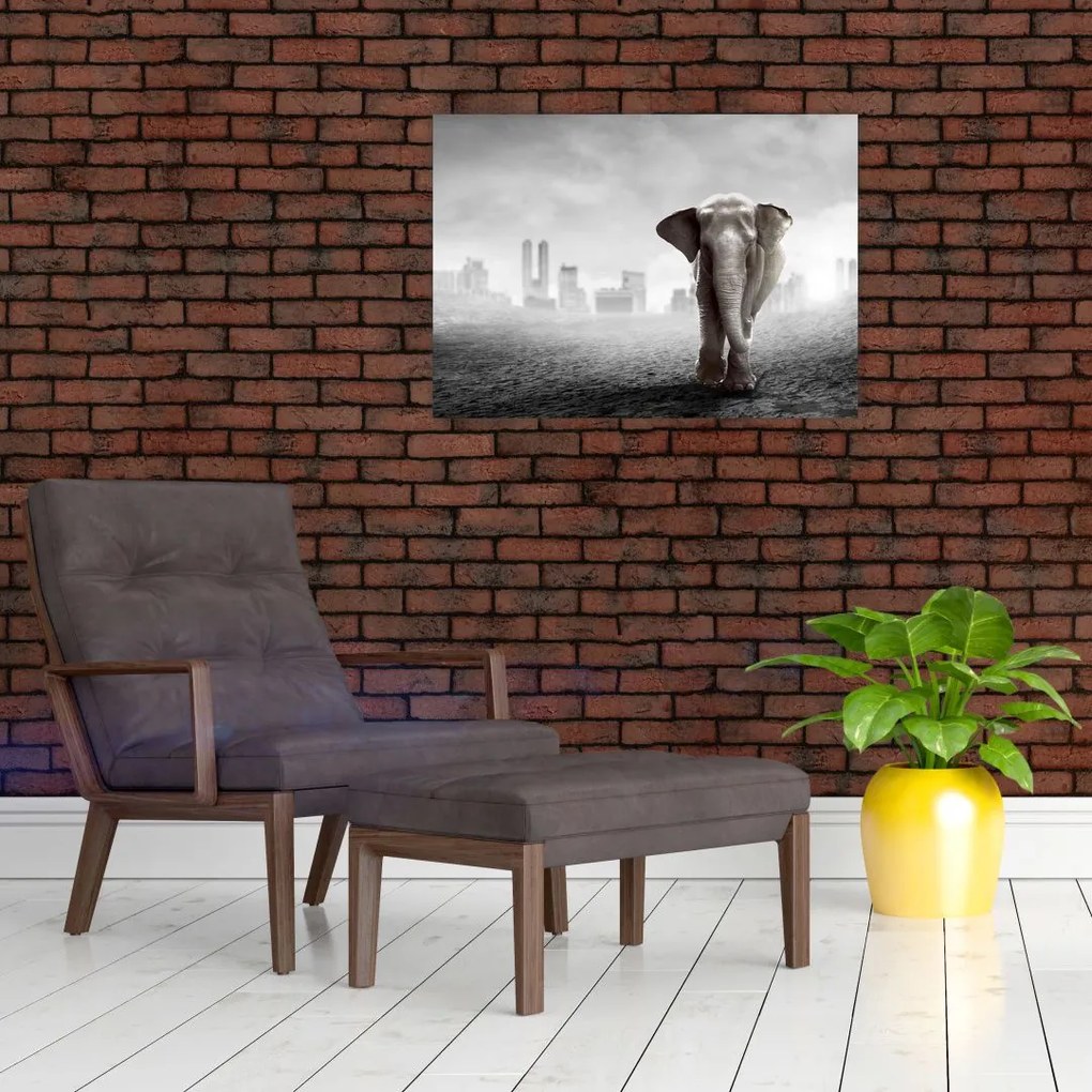 Obraz - Słonie w wielkim mieście, wersja czarno - biała (70x50 cm)