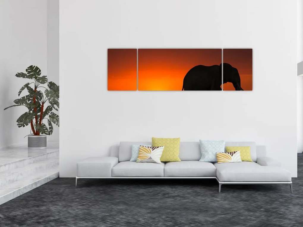 Obraz słonia o zachodzie słońca (170x50 cm)