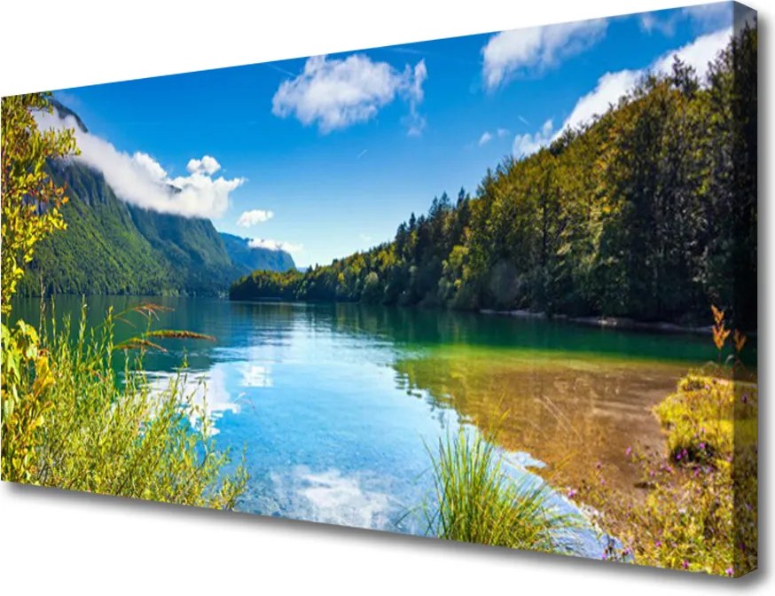 Obraz canvas Barwny Dywan Tulipanów